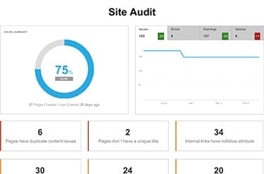 report-site-audit
